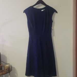 Leeah Lace Knit Dress